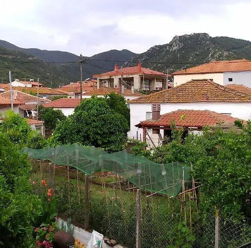 Peter's Traditional House *