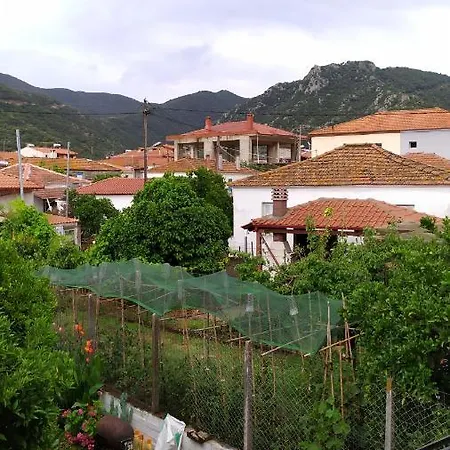 Peter's Traditional House *