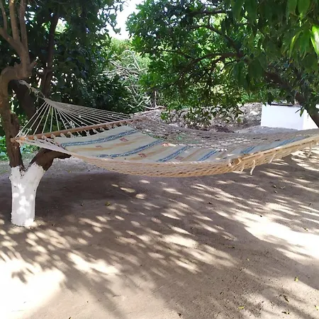 Peter's Traditional House * Sykia