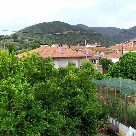 Apartament Peter's Traditional House